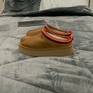 Womens Tasman uggs PLATFORM